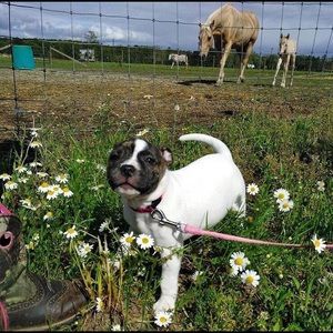 Meet your Posher, Jenna